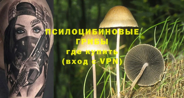 мдпв Тихвин