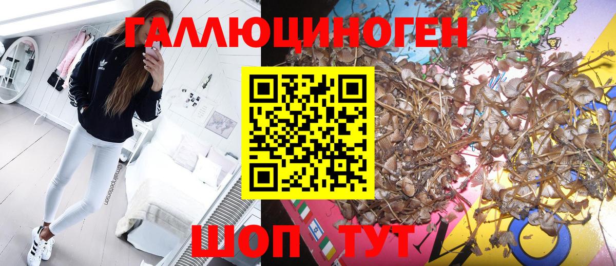 Галлюциногенные грибы Psilocybine cubensis  Вход с VPN  где можно купить наркотик  Псилоцибиновые грибы GOLDEN TEACHER  Елец 