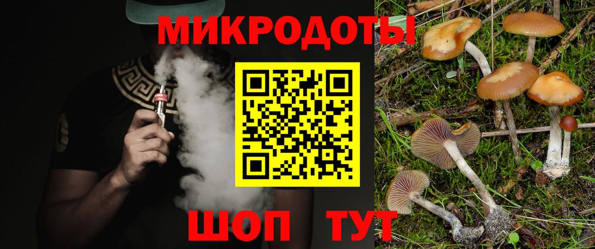 Псилоцибиновые грибы мухоморы Елец